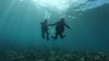 <center>Plongée : Les marmailles de 1000 Sourires <br>à la découverte de la biodiversité marine