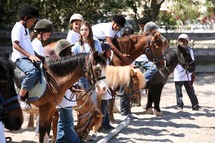 Cheval, Mon Ami … Cheval, Mon Ami …