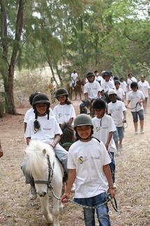 Cheval, Mon Ami … Cheval, Mon Ami …