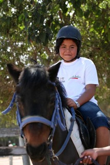 Cheval, Mon Ami … Cheval, Mon Ami …