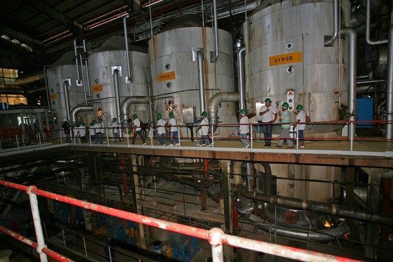 L’Usine de Bois Rouge accueille les enfants