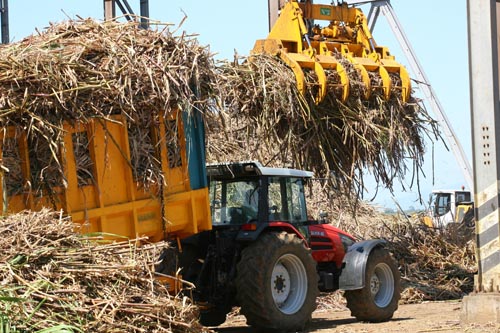 L’Usine de Bois Rouge accueille les enfants L’Usine de Bois Rouge accueille les enfants