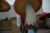 Carnet de Voyage : "S'envoler vers le Rêve ... " : Disneyland sous la neige ... Carnet de Voyage : "S'envoler vers le Rêve ... " : Disneyland sous la neige ...