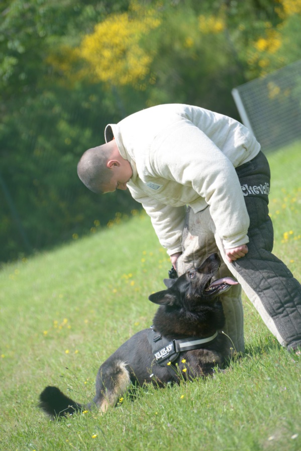 <center> Jour 8 : "S'envoler vers le Rêve ..." <br> "Au danger, mon plaisir" <br> 12ème Régiment des Cuirassiers <center> Jour 8 : "S'envoler vers le Rêve ..." <br> "Au danger, mon plaisir" <br> 12ème Régiment des Cuirassiers