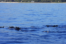 « Voyage aquatique pour les marmailles  de 1000 Sourires » « Voyage aquatique pour les marmailles  de 1000 Sourires »