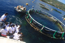 « Voyage aquatique pour les marmailles  de 1000 Sourires »