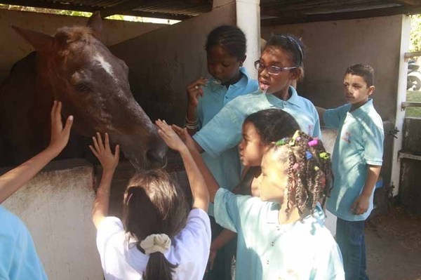 Découverte du cheval pour les marmailles de la SHLMR