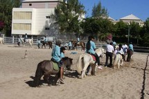 Découverte du cheval pour les marmailles de la SHLMR