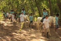 Découverte du cheval pour les marmailles de la SHLMR