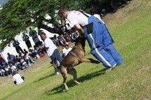 La gendarmerie accueille les marmailles des quartiers de Savannah et de bellèmène La gendarmerie accueille les marmailles des quartiers de Savannah et de bellèmène