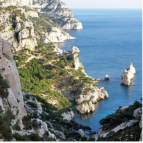 Olympique de Marseille 2011 Olympique de Marseille 2011