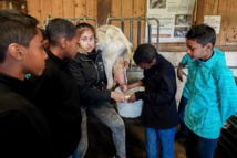 <center>"S'envoler vers le Rêve ..."  <br> Jour 13 : De la Bergerie Nationale au Parc des Princes :  Une journée éducative et sportive pour les petits réunionnais <center>"S'envoler vers le Rêve ..."  <br> Jour 13 : De la Bergerie Nationale au Parc des Princes :  Une journée éducative et sportive pour les petits réunionnais