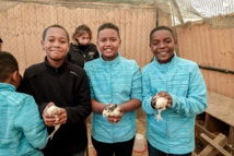 <center>"S'envoler vers le Rêve ..."  <br> Jour 13 : De la Bergerie Nationale au Parc des Princes :  Une journée éducative et sportive pour les petits réunionnais <center>"S'envoler vers le Rêve ..."  <br> Jour 13 : De la Bergerie Nationale au Parc des Princes :  Une journée éducative et sportive pour les petits réunionnais