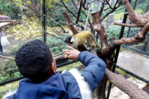 <center>"Un Incroyable Noël...." <br>Jour  3 :  A la découverte de la Ménagerie <br> du Jardin des plantes ...