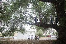 <center> Rêve et sensations fortes  pour les VIM <br> de 1000 Sourires invités par la Gendarmerie <center> Rêve et sensations fortes  pour les VIM <br> de 1000 Sourires invités par la Gendarmerie