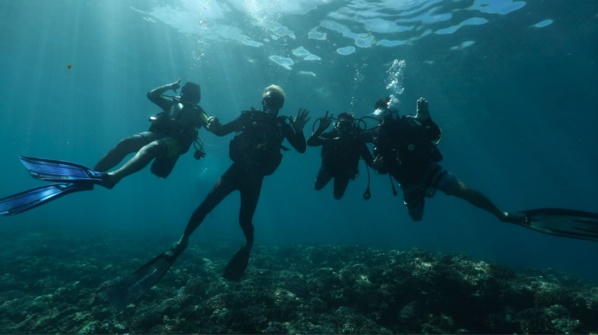 <center>Plongée : Les marmailles de 1000 Sourires <br>à la découverte de la biodiversité marine