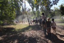 <center>Les marmailles de 1000 Sourires découvrent <br>en V.I.M.  les poneys en compagnie de Miss Réunion