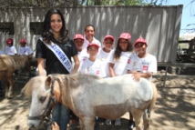 <center>Les marmailles de 1000 Sourires découvrent <br>en V.I.M.  les poneys en compagnie de Miss Réunion