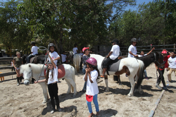 <center>Les marmailles de 1000 Sourires découvrent <br>en V.I.M.  les poneys en compagnie de Miss Réunion