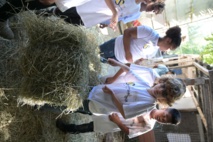 <center>Une journée à cheval <br>pour les marmailles de 1000 Sourires