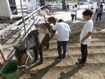 <center>Une journée à cheval <br>pour les marmailles de 1000 Sourires <center>Une journée à cheval <br>pour les marmailles de 1000 Sourires