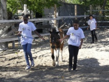 <center>Une journée à cheval <br>pour les marmailles de 1000 Sourires <center>Une journée à cheval <br>pour les marmailles de 1000 Sourires