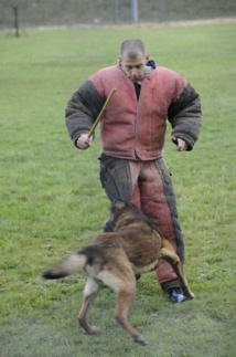 Mardi 13 mai, les marmailles au 7ème ciel Mardi 13 mai, les marmailles au 7ème ciel