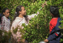 <center>Cueillette de goyaviers et ateliers artistiques au programme des vacances <br> des marmailles de 1000 Sourires