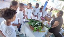 <center>Ateliers découverte du patrimoine créole et plantation d’un arbre endémique pour les marmailles de 1000 Sourires au CLAC du Brulé 