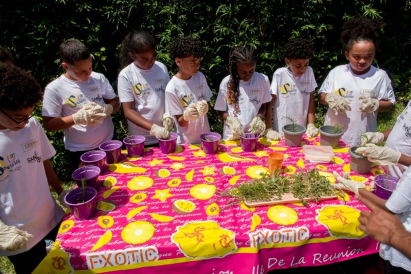 <center>Ateliers découverte du patrimoine créole et plantation d’un arbre endémique pour les marmailles de 1000 Sourires au CLAC du Brulé <center>Ateliers découverte du patrimoine créole et plantation d’un arbre endémique pour les marmailles de 1000 Sourires au CLAC du Brulé