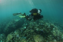 <center>Baptême de plongée sous-marine <br>pour une vingtaine de VIM de Savannah <center>Baptême de plongée sous-marine <br>pour une vingtaine de VIM de Savannah