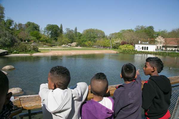 <center>Jour 3 : "S'envoler vers le Rêve ... " <br> Ils ont mangé du Lyon <center>Jour 3 : "S'envoler vers le Rêve ... " <br> Ils ont mangé du Lyon