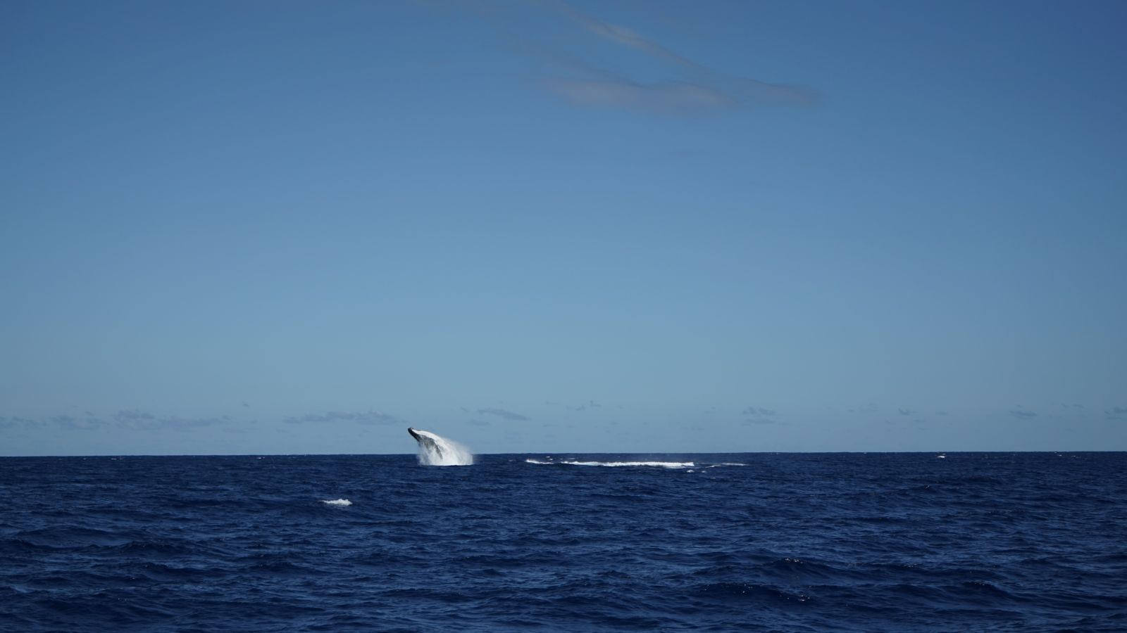 <center>Entre ciel et mer :<br> Lucas Tousart, Valérie Gauvin et Fabrice Abriel<br> à la découverte des joyaux de La Réunion