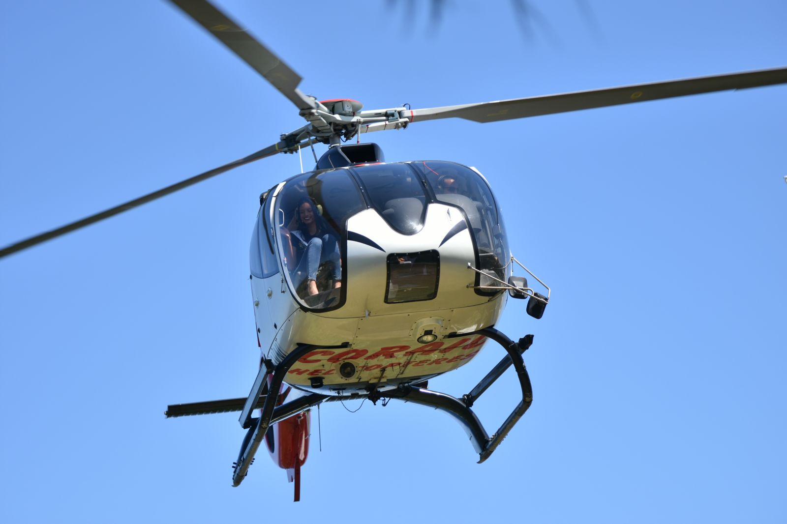 <center>Première action caritative pour Miss Réunion 2018<br> au Palm, avec les marmailles de 1000 Sourires <center>Première action caritative pour Miss Réunion 2018<br> au Palm, avec les marmailles de 1000 Sourires