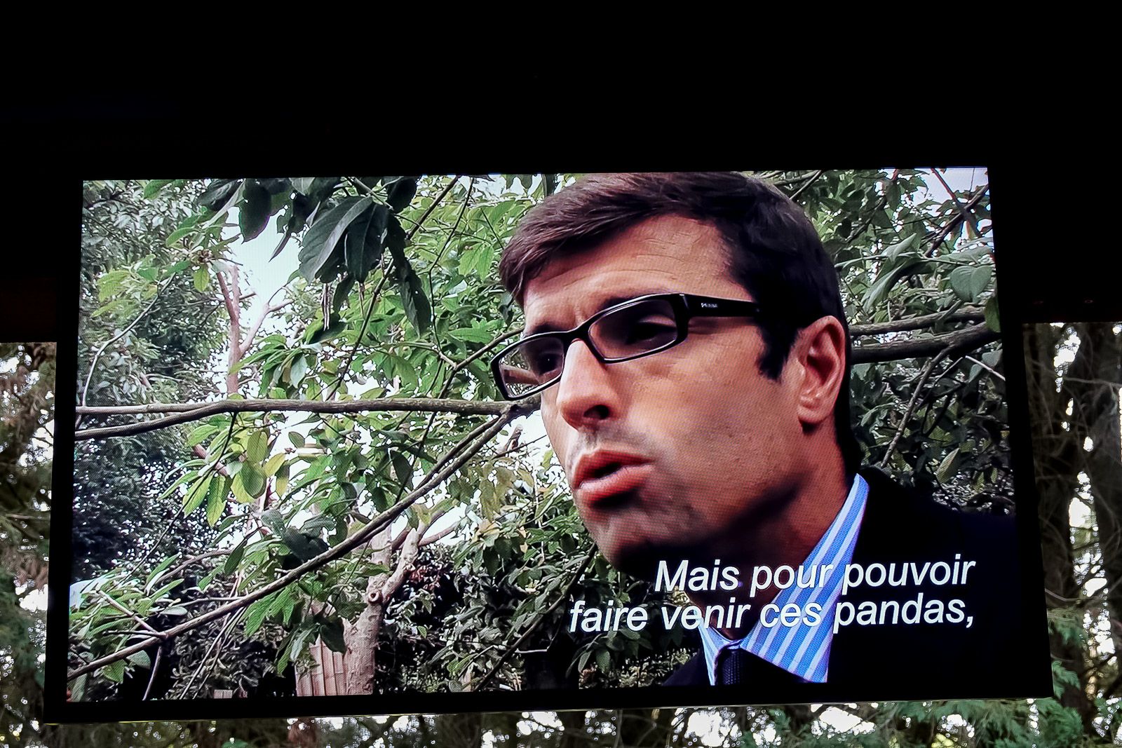 <center>"S'envoler vers le Rêve ..."  <br> Jour 11 : Les marmailles de 1000 Sourires passent un journée de Rêve <br> en compagnie des animaux du Zoo de Beauval