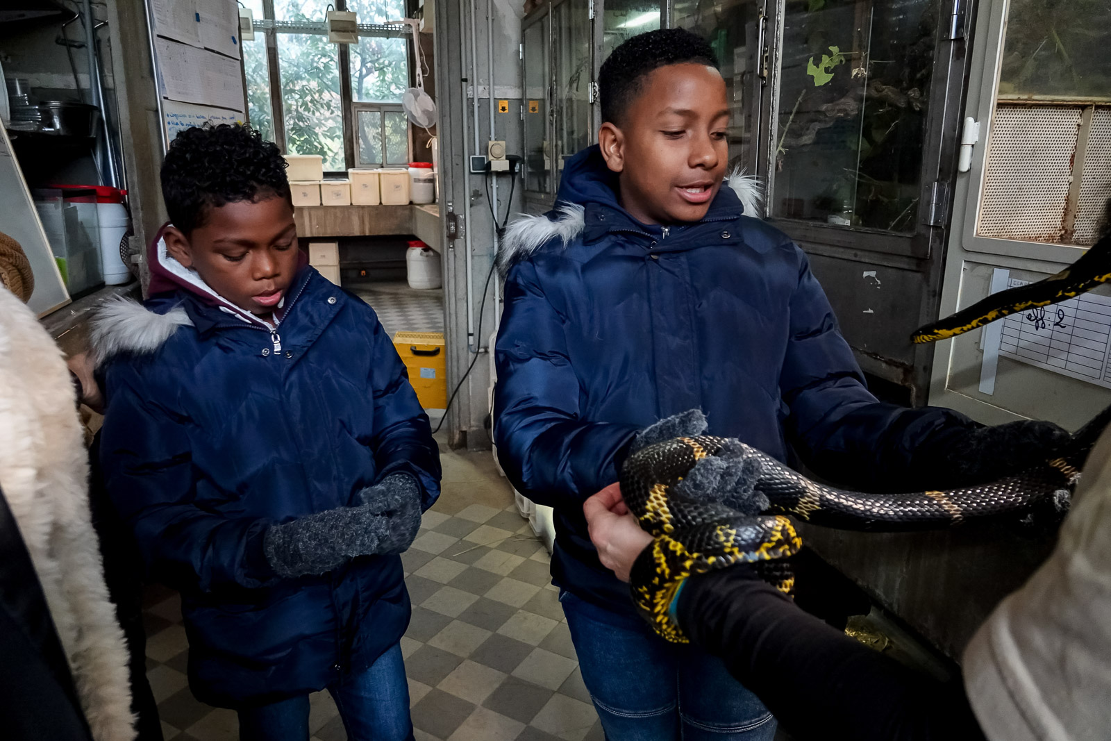 <center>"Un Incroyable Noël...." <br>Jour  3 :  A la découverte de la Ménagerie <br> du Jardin des plantes ...