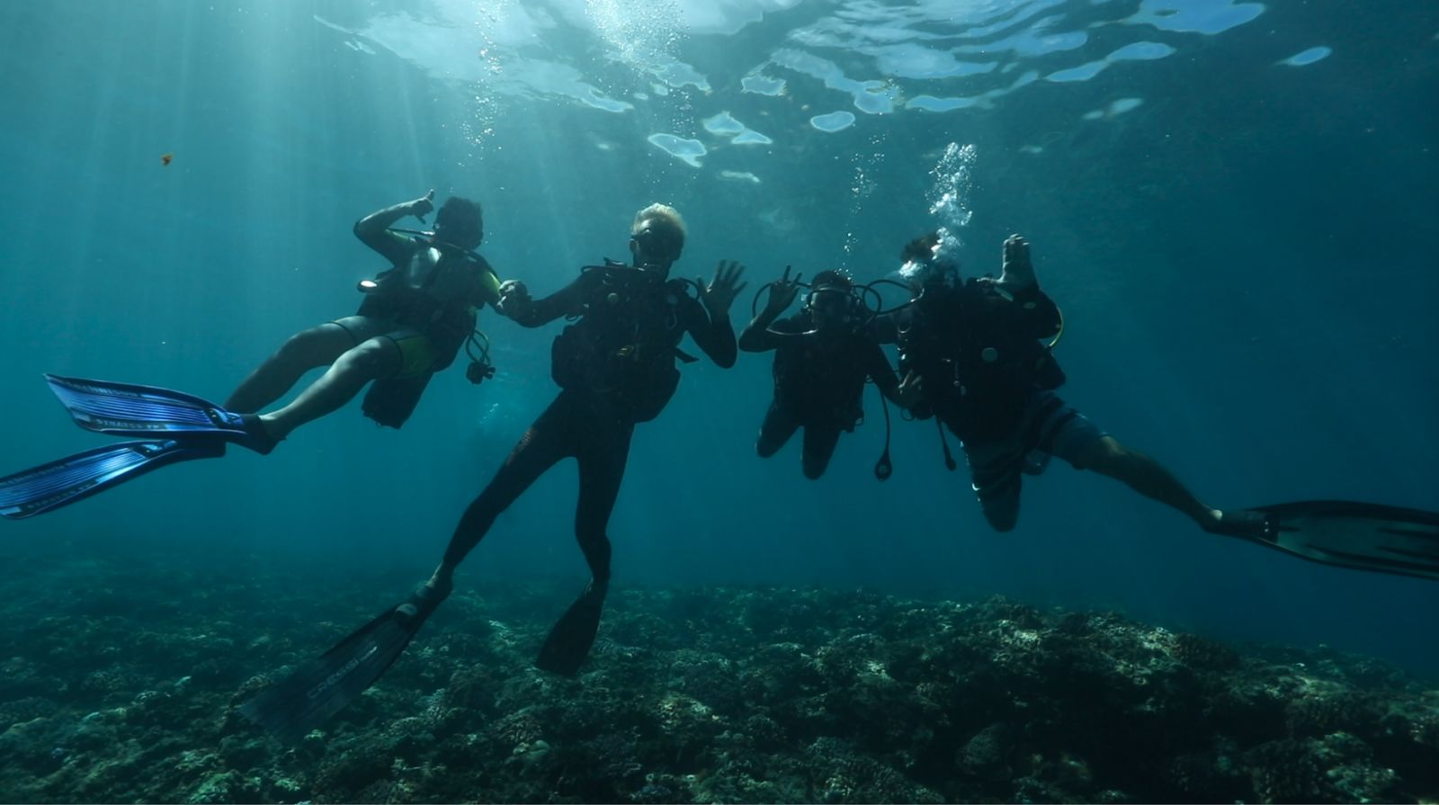 <center>Plongée : Les marmailles de 1000 Sourires <br>à la découverte de la biodiversité marine