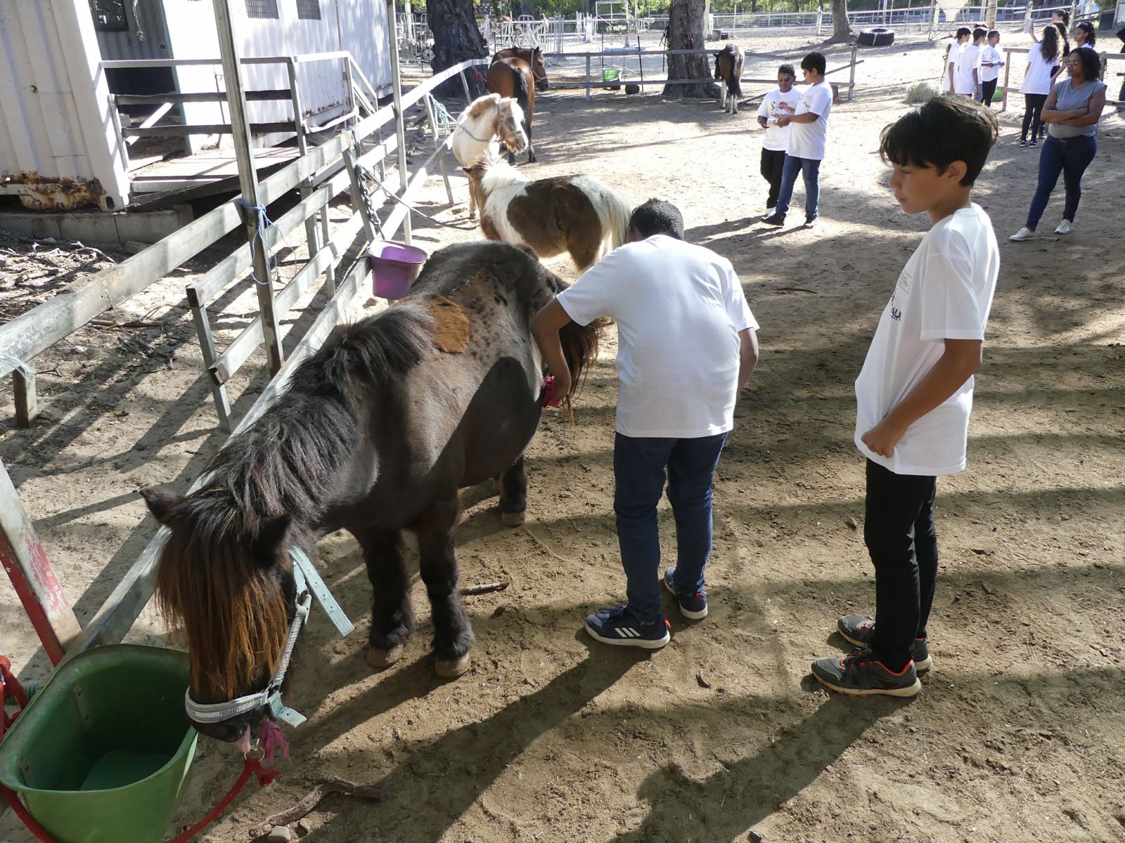 <center>Une journée à cheval <br>pour les marmailles de 1000 Sourires