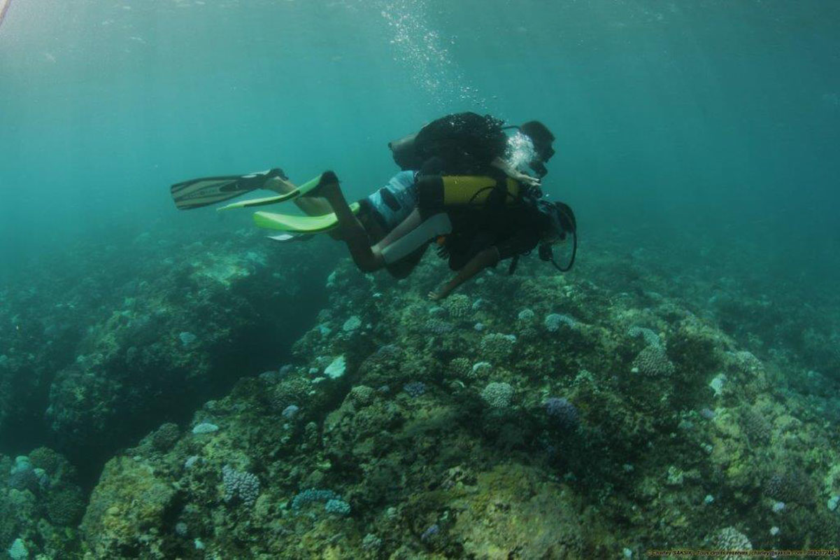 <center>Baptême de plongée sous-marine <br>pour une vingtaine de VIM de Savannah <center>Baptême de plongée sous-marine <br>pour une vingtaine de VIM de Savannah