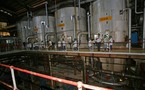 L’Usine de Bois Rouge accueille les enfants